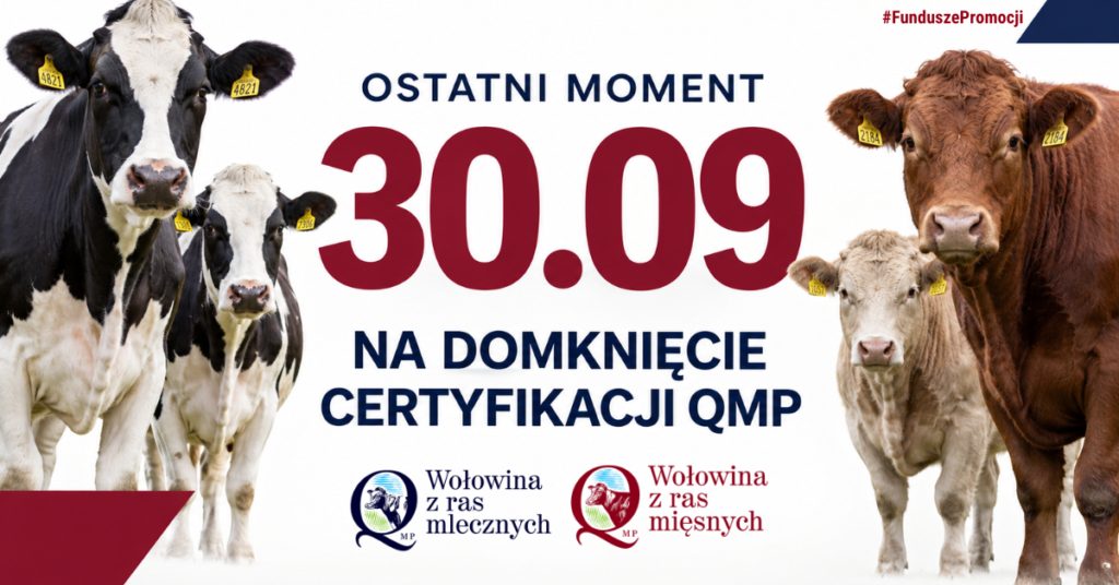 Certyfikat QMP warunkiem dopłaty dla hodowców bydła